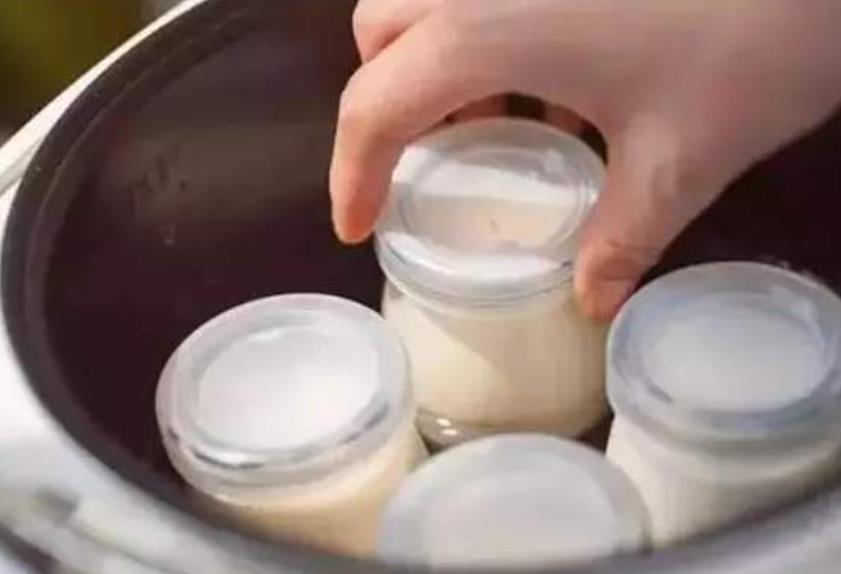 如何自制酸奶不用酸奶机，牛奶喝不完可以做什么好吃的？-4