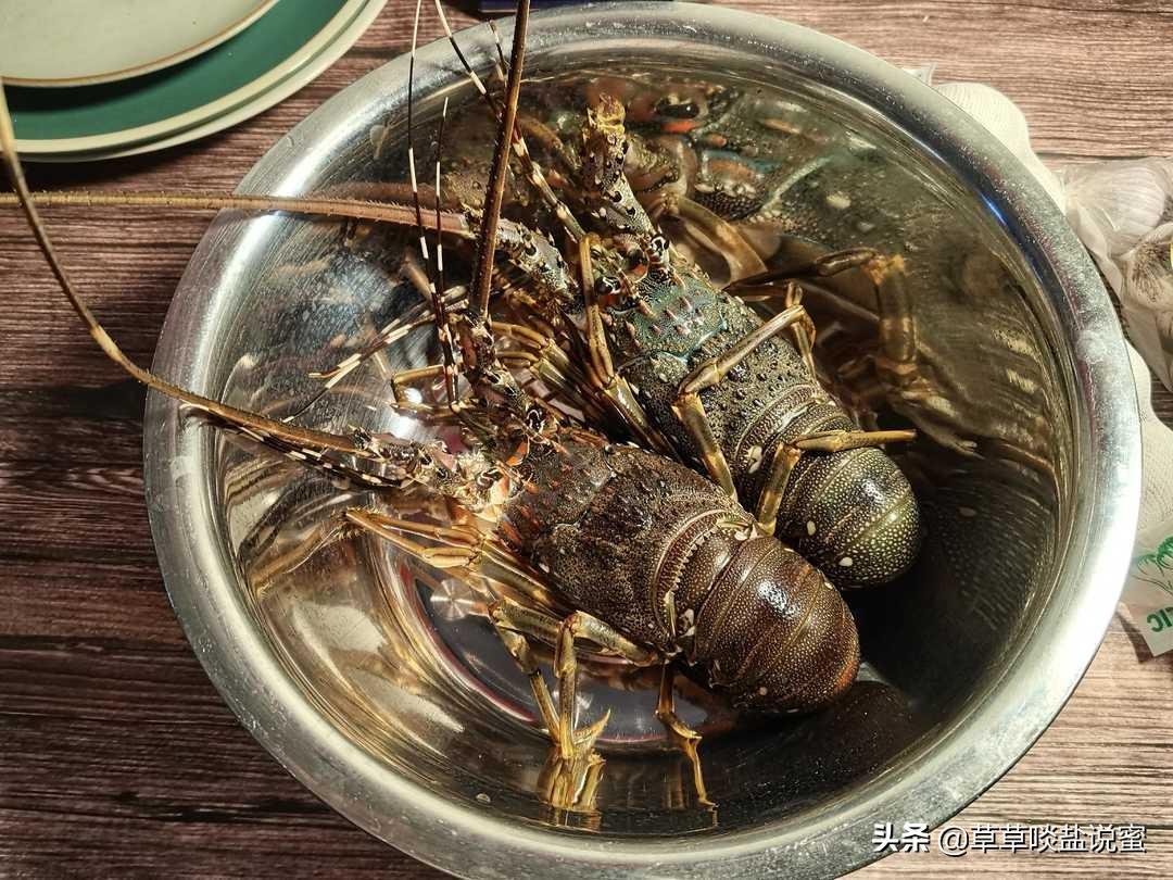 家常清蒸澳洲龙虾的做法_小青龙要怎么做好吃-2