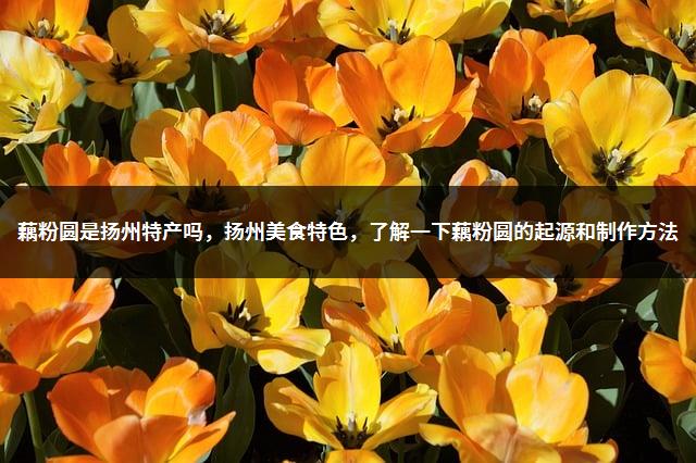 藕粉圆是扬州特产吗，扬州美食特色，了解一下藕粉圆的起源和制作方法-1